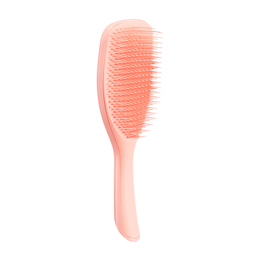 BROSSE TANGLE TEEZER LARGE